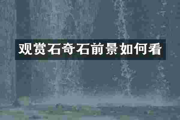 观赏石奇石前景如何看