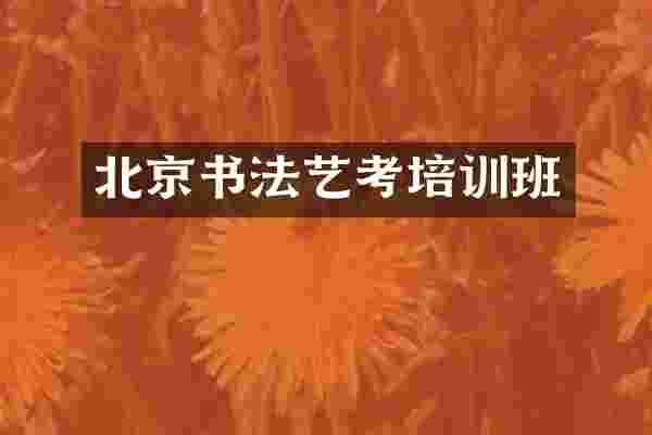 北京书法艺考培训班