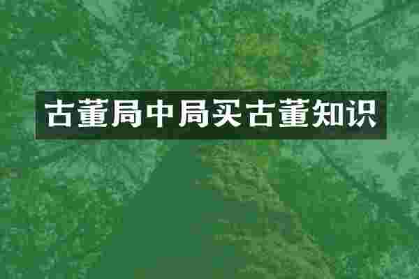 古董局中局买古董知识
