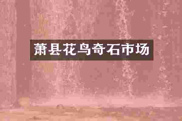 萧县花鸟奇石市场