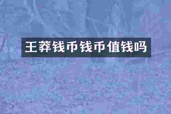 王莽钱币钱币值钱吗