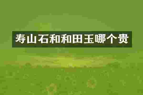 寿山石和和田玉哪个贵