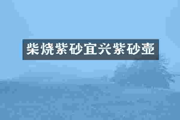 柴烧紫砂宜兴紫砂壶