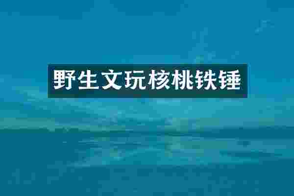 野生文玩核桃铁锤