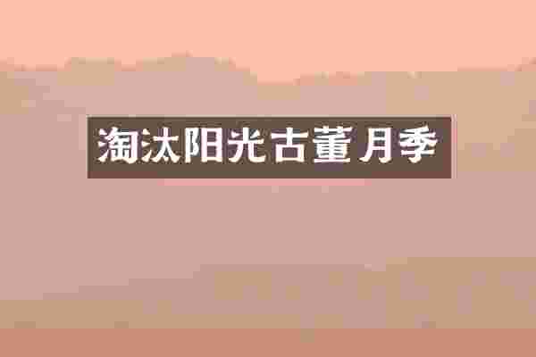 淘汰阳光古董月季