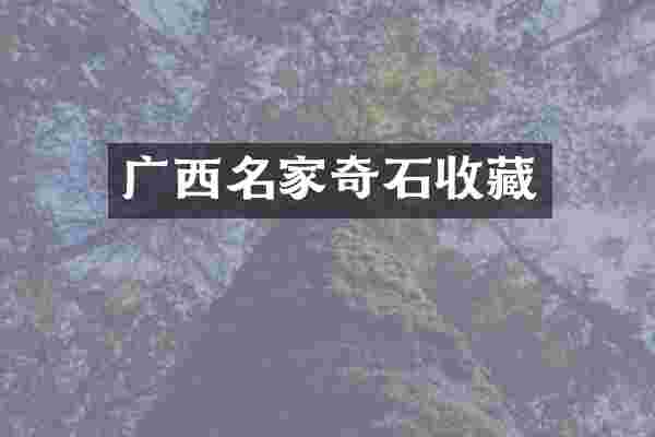 广西名家奇石收藏