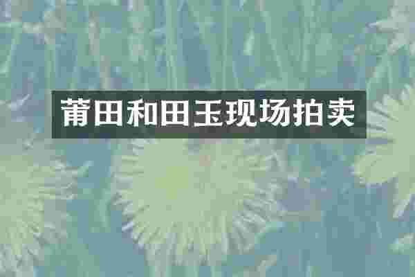莆田和田玉现场拍卖