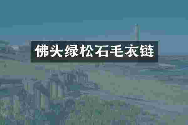 佛头绿松石毛衣链