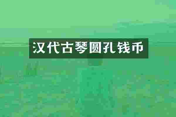 汉代古琴圆孔钱币