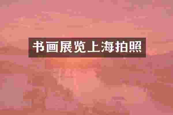 书画展览上海拍照