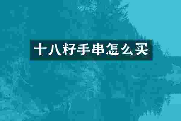 十八籽手串怎么买