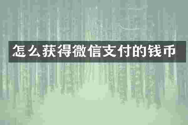 怎么获得微信支付的钱币
