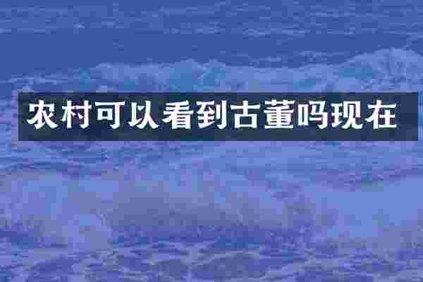 农村可以看到古董吗现在