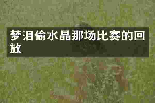 梦泪偷水晶那场比赛的回放