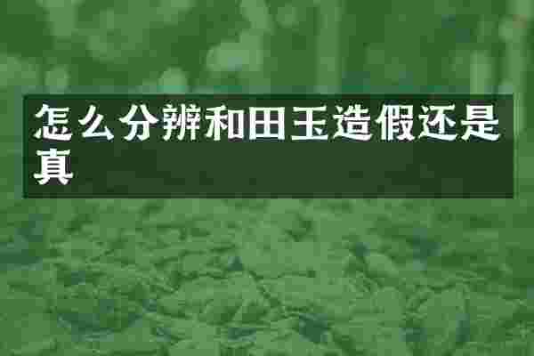 怎么分辨和田玉造假还是真