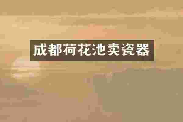 成都荷花池卖瓷器