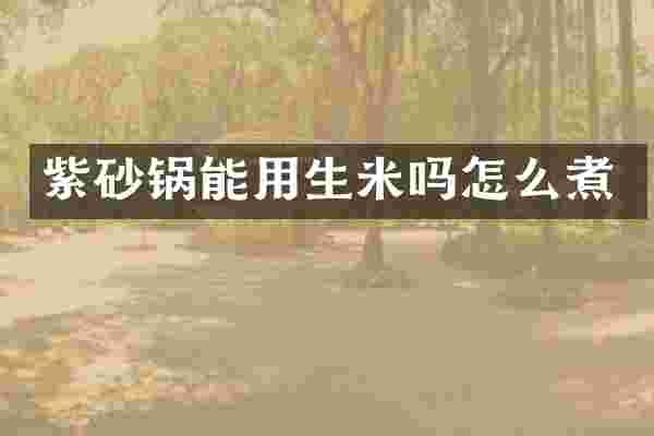 紫砂锅能用生米吗怎么煮