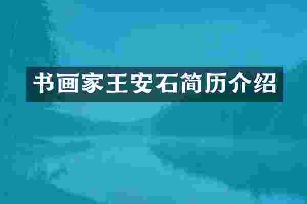 书画家王安石简历介绍