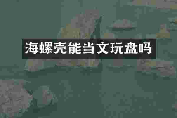 海螺壳能当文玩盘吗