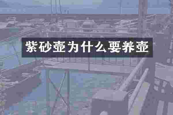 紫砂壶为什么要养壶