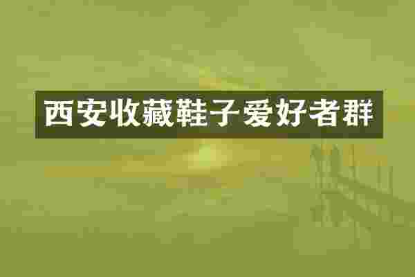 西安收藏鞋子爱好者群