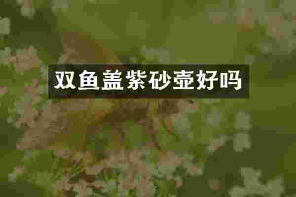 双鱼盖紫砂壶好吗