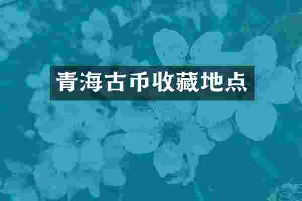 青海古币收藏地点