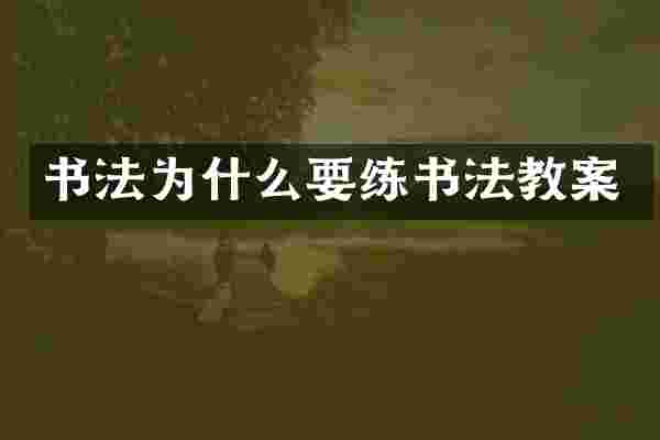 书法为什么要练书法教案