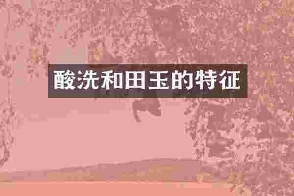 酸洗和田玉的特征