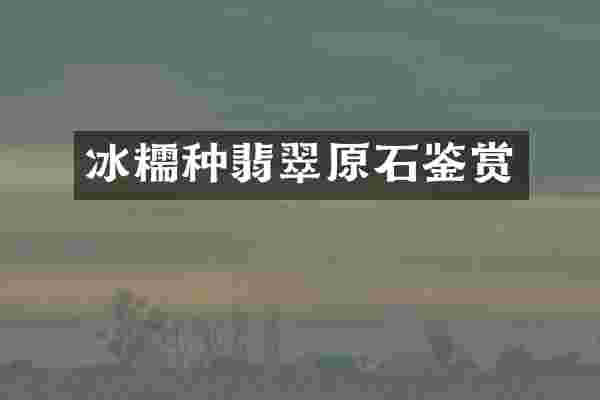 冰糯种翡翠原石鉴赏