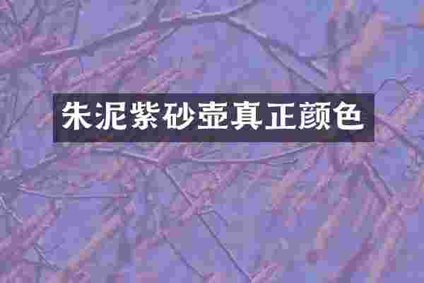 朱泥紫砂壶真正颜色