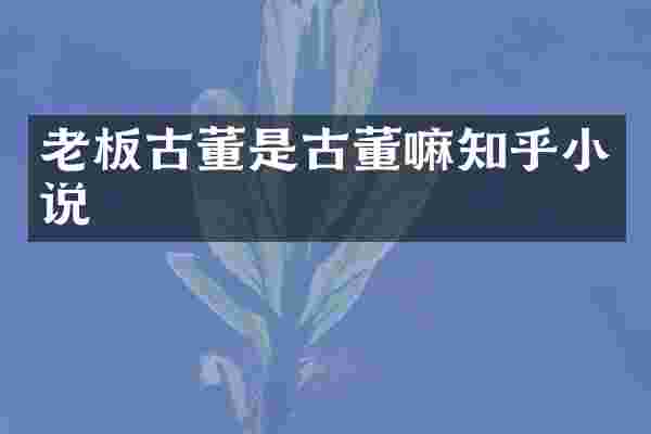 老板古董是古董嘛知乎小说