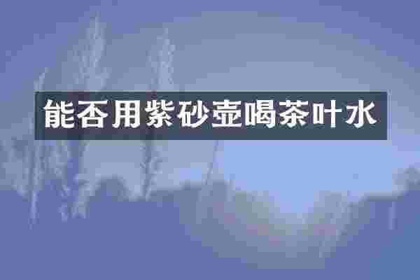 能否用紫砂壶喝茶叶水