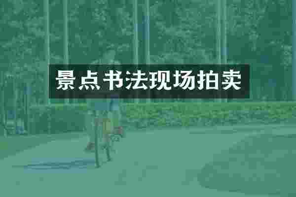 景点书法现场拍卖