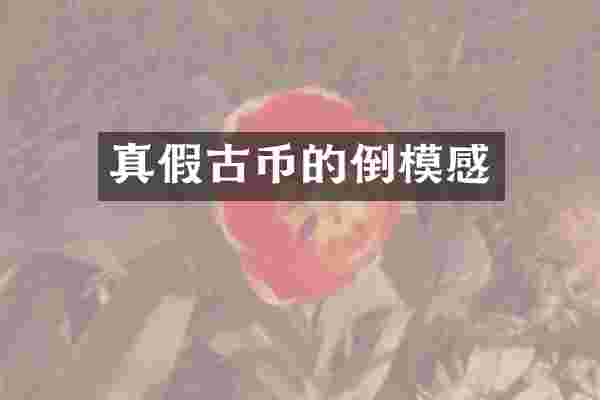 真假古币的倒模感