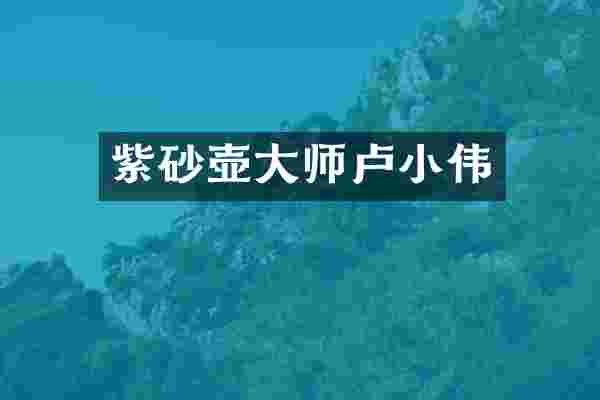 紫砂壶大师卢小伟
