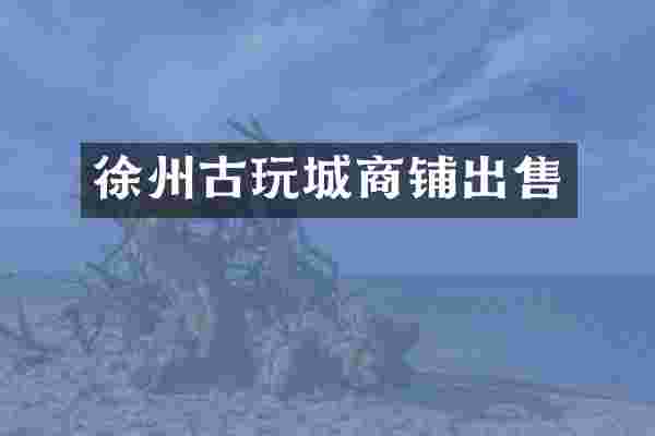 徐州古玩城商铺出售