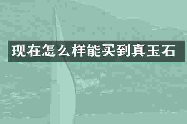 现在怎么样能买到真玉石