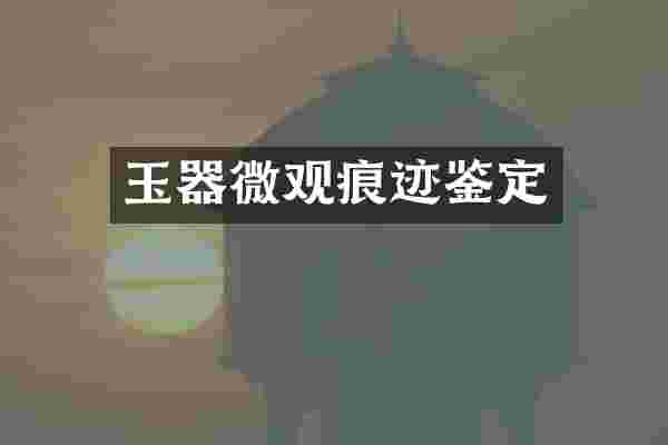 玉器微观痕迹鉴定