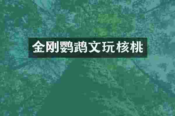 金刚鹦鹉文玩核桃