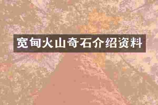 宽甸火山奇石介绍资料