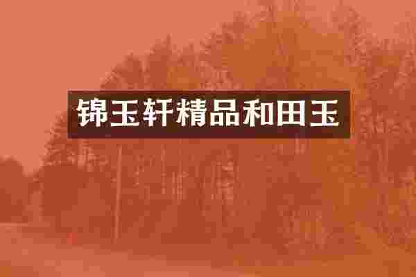 锦玉轩精品和田玉