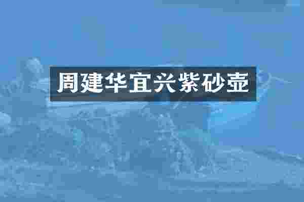 周建华宜兴紫砂壶