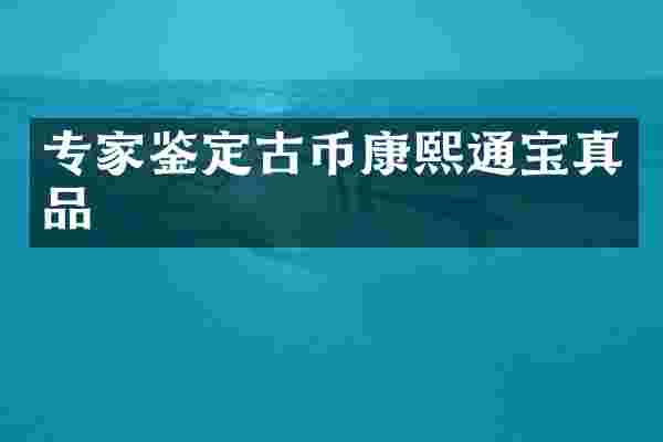 专家鉴定古币康熙通宝真品
