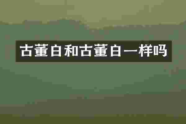 古董白和古董白一样吗