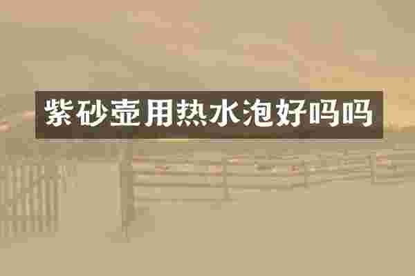 紫砂壶用热水泡好吗吗