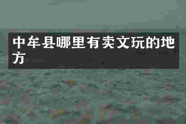 中牟县哪里有卖文玩的地方