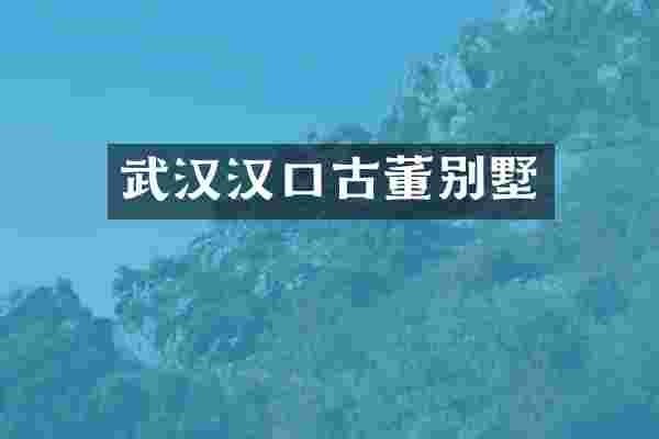 武汉汉口古董别墅