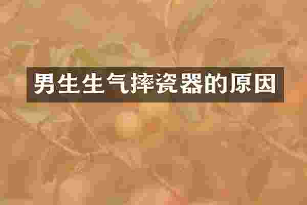 男生生气摔瓷器的原因