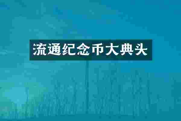 流通纪念币大典头